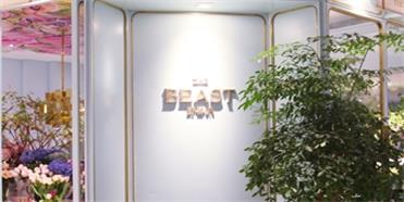 野兽派花店品牌定位