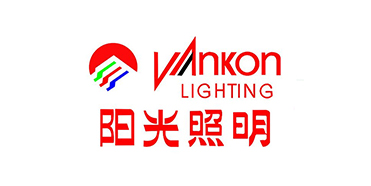 阳光照明发展战略分析