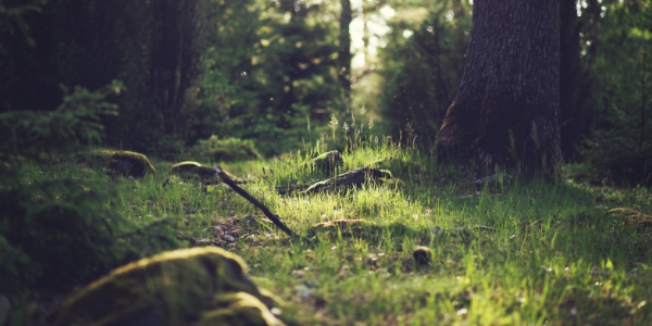 大健康产业的品牌战略规划