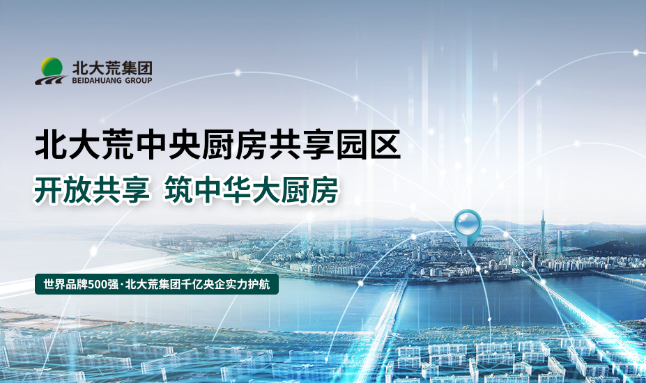 北大荒（大湾区）生态产业城项目品牌定位案例