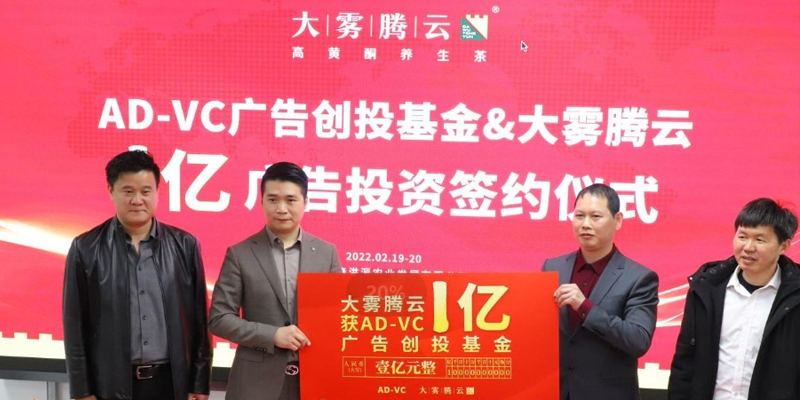 大雾腾云高黄酮养生茶品牌定位案例