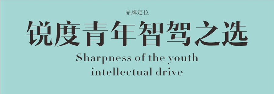 陆风行车记录仪品牌定位,定位行车记录仪品牌,行车记录仪定位方法