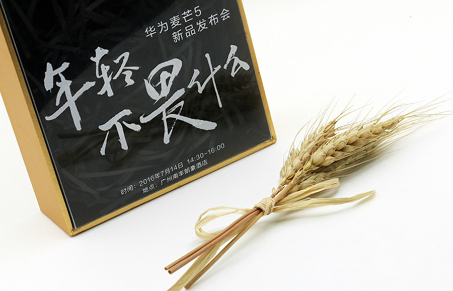 在针尖大的领域里饱和攻击