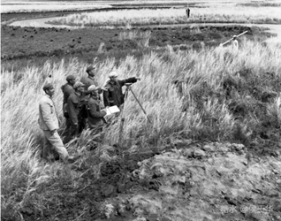 北大荒大米品牌定位,农业产品战略定位