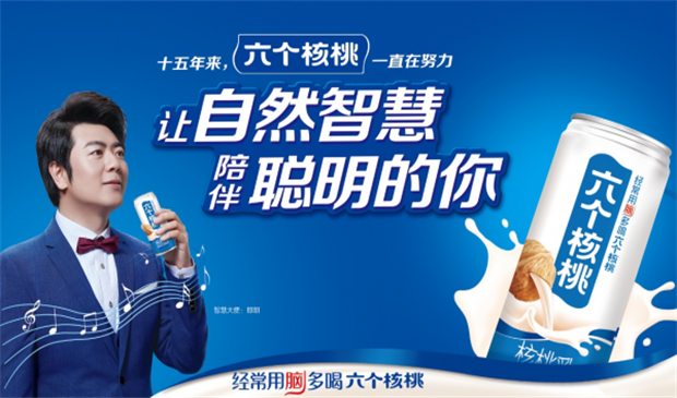 六个核桃品牌战略,六个核桃的品牌战略分析,六个核桃的品牌战略