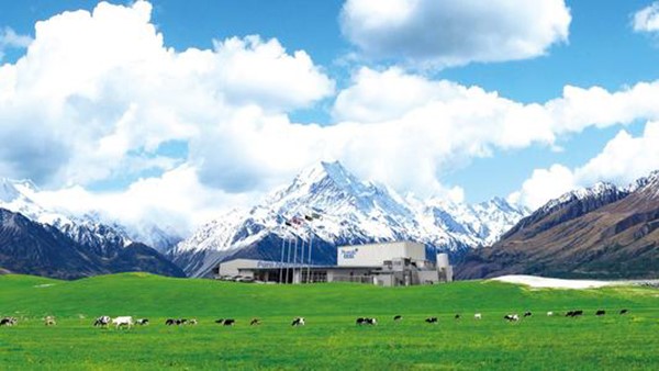 美纳多奶粉产品定位,美纳多奶粉品牌定位,美纳多奶粉