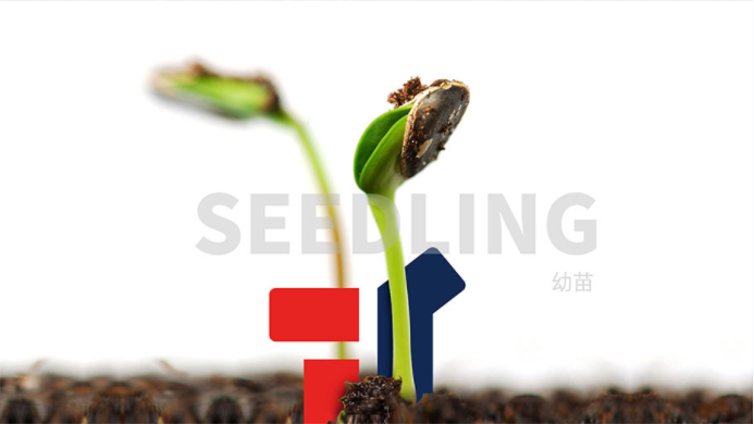 TOYI童装品牌定位案例