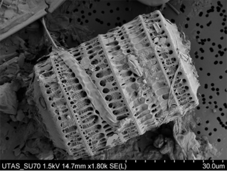 海龟梦硅藻泥品牌定位案例