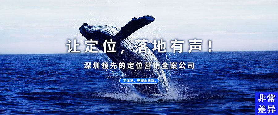 专业品牌定位公司有哪些优势