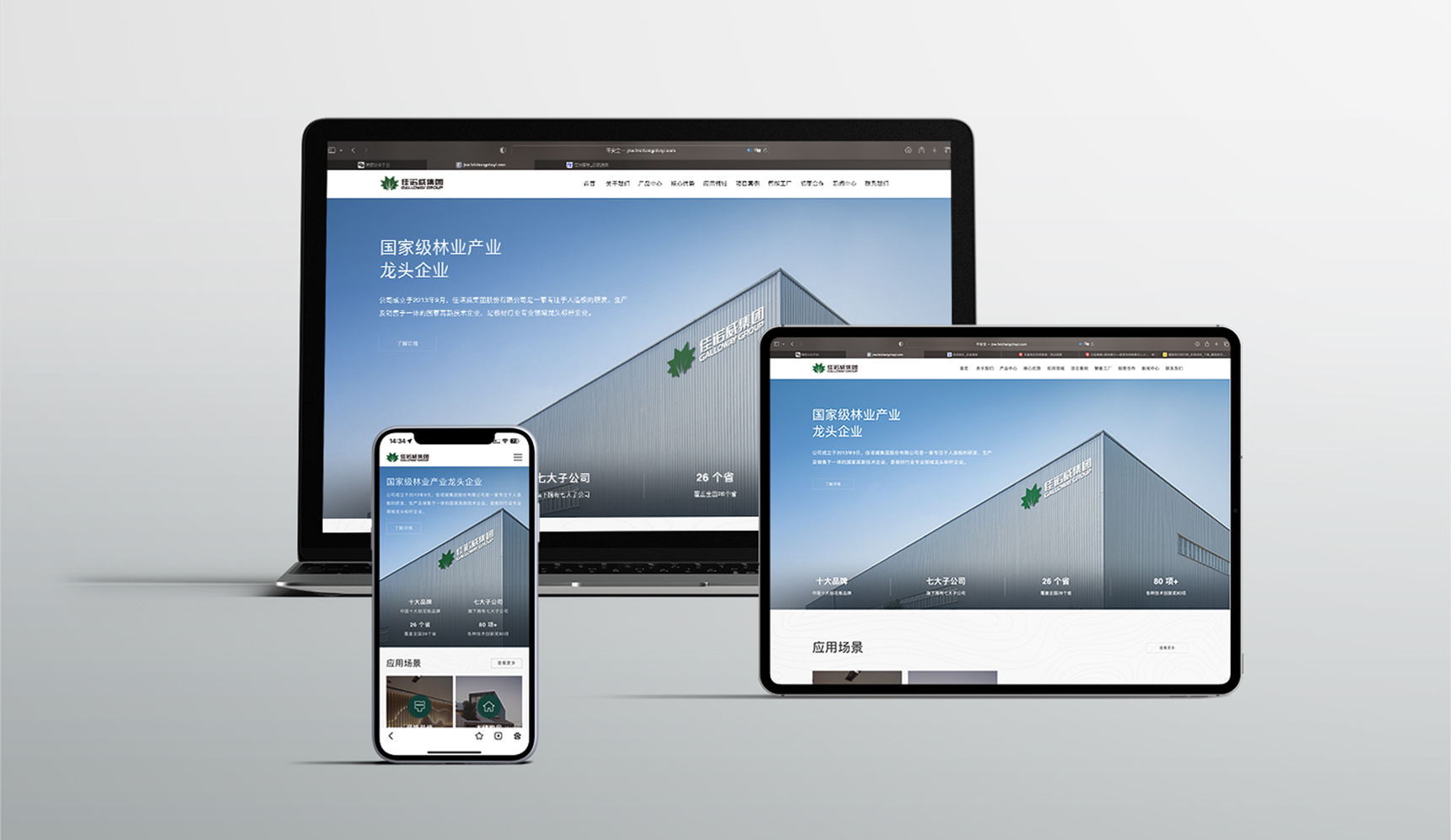 美耐狮板材品牌定位案例