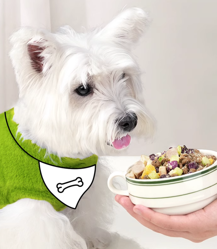 狗粮品牌定位案例分析