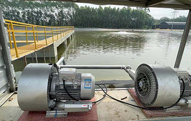 工厂化水产养殖设备品牌定位案例分析