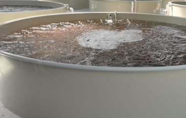 工厂化水产养殖设备品牌定位案例分析