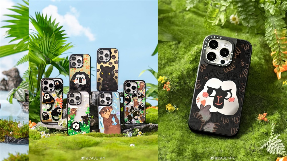 Casetify电子品牌营销策略：聚焦定位